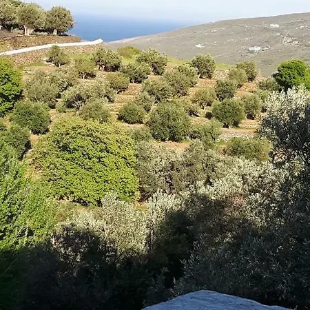 Prázdninový dům Oasis *