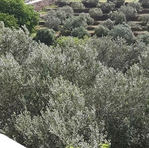 Сasa de vacaciones Oasis