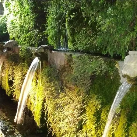 Oasis Σπίτι διακοπών *