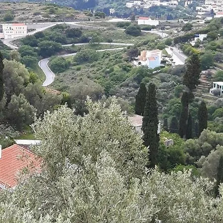 Oasis