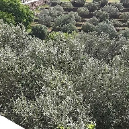 Σπίτι διακοπών Oasis