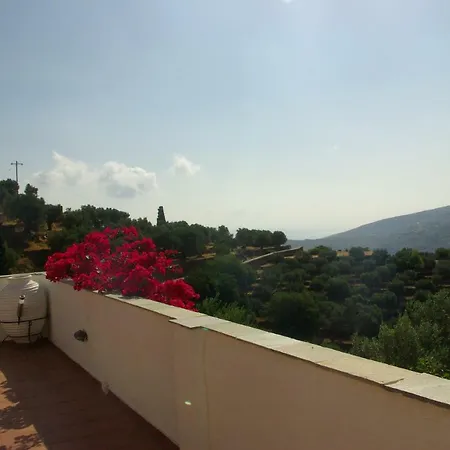 Oasis بيت للعطل